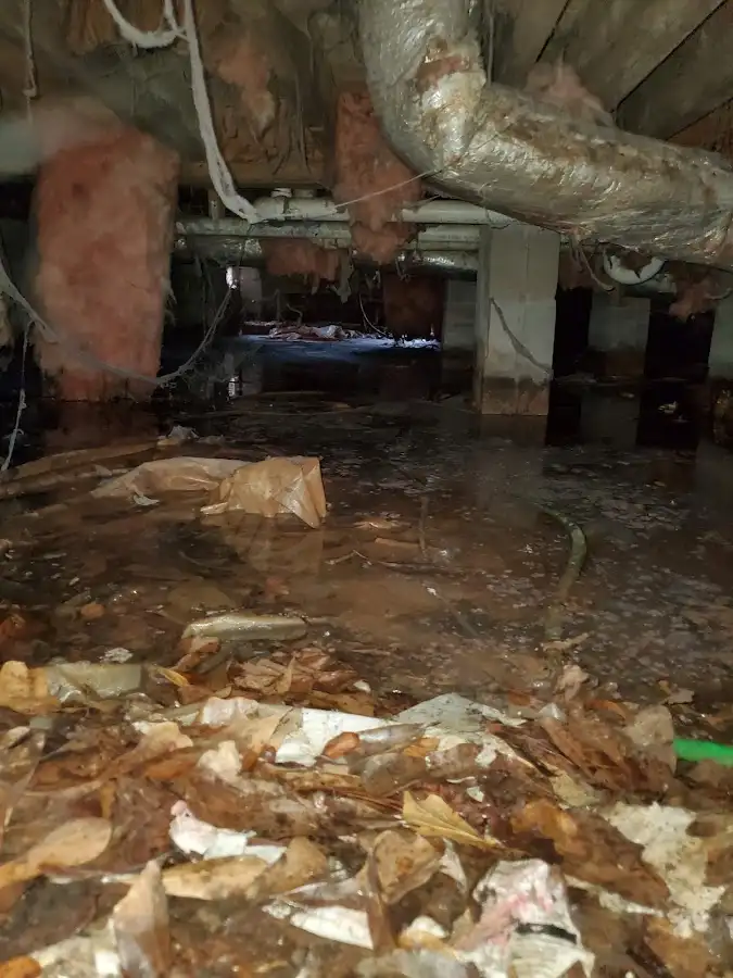 Crawl space flood assessment for Leak Detection & Repair in Alma