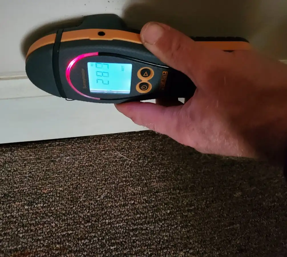 Moisture detection at baseboard during Mold Inspection & Testing in Alma